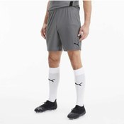 Resim Puma Team Goal 23 Erkek Gri Şort 