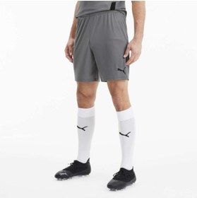 Resim Puma Team Goal 23 Erkek Gri Şort 