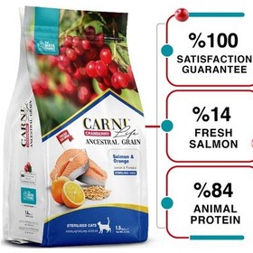 Resim Carni Life Kısırlaştırılmış Cranberry Ancestral Grain Salmon & Orange Yetişkin Kedi Maması 5 KG 