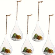 Resim Ev Parti Düğün Bahçe Kendin Yap Tasarımı için 2/3/4/5/6 adet Asılı Cam Terraryum Kapları Küre Hava Saksı Terraryum Vazo - Hava Bitki Tutucu, Sukulent Saksı, Çay Işığı Askı Aksesuarları 