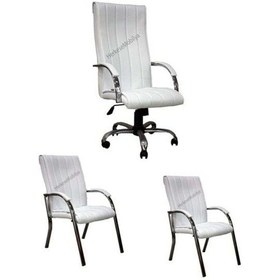 Resim Koltukstilim Diana Krom Makam Koltuk Takımı Beyaz 