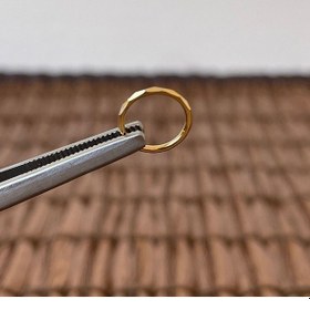 Resim 316 L Cerrahi Çelik Anti Alerjik Kesme Baklava 10 Mm X 1.2mm Altın Kilitli Halka Piercing Sarı Altın 