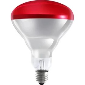 Resim Ledvance 250 W Infrared Isıtıcı Lamba Kırmızı E27 Duy 24 Adet 