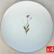 Resim Tabak Evi Porselen Natura Çuha 24.50 CM 4'lü Altın Yaldız Servis Tabağı 
