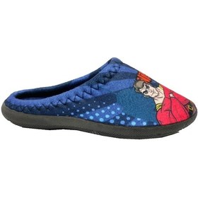 Resim Gezer 13595 Temal Kumaş Erkek Çocuk Halı Terlik 27-29 Füme 