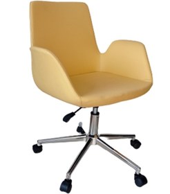 Resim KamusalMarket Sekreter Sandalyesi Döküm Süngerli Krom Ayaklı 