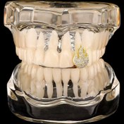 Resim RICH ONE AND ONLY GRILLZ NO.6 (Ön Sipariş) 