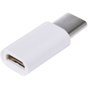 Resim Alleon Micro Usb-type C Converter Çevirici Başlık 