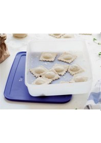 Resim Tupperware Alaska Serisi Derin Dondurucu Saklama Kabı 2.25 Lt Çok Renkli 