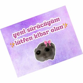 Resim hediyenebak Yeni Sürücüyüm Lütfen Kibar Olun Özel Tasarımlı Araba Araç Magneti 15x20 cm 
