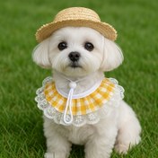 Resim 2 adet Köpek Yazlık Hasır Şapka ve Ekose Dantel Yaka Seti - Küçükten Orta Boy Köpekler İçin Sevimli Pet Volanlı Önlük, Tatil Partileri ve Karnaval için Mükemmel, Polyester Malzeme, Makinede Yıkanabilir, Şenlikli Kıyafet | Volanlı Tasarım | Polyester Şapka, Köpek Ha 