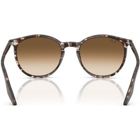 Resim Ray-Ban Rb 2204 143151 51 Erkek Güneş Gözlüğü Siyah 