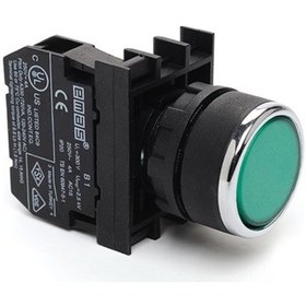 Resim Emas B100dy B Serisi Plastik 1no Yaylı Düz Yeşil 22 Mm Buton 