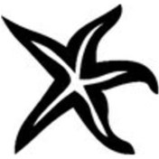 Resim Byr002 Denizyıldızı Oto Motor Laptop Duvar Folyo Sticker 15x13 Cm Efsngrck 