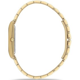 Resim Momentus Cs370g-02sg Kadın Kol Saati 