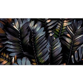 Resim Koyu Renk Tropikal Yapraklar Duvar Kağıdı (361157859) 
