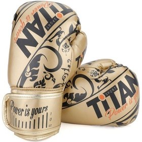 Resim Gold Serisi İşlemeli Boks Eldiveni Çok Renkli 