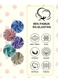 Resim Alya Underwear Kedi Baskılı Pamuklu Kız Çocuk Külot, Renkli Slip Külot Çok Renkli P61 