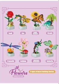 Resim Çiçekler Ve Böcekler Yapı Blokları Xylotrupes Dıchotomus 