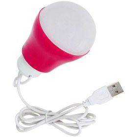 Resim Usb Kablolu 1 Metre 6-5 Volt Dat At Ampulü - Güneş Enerjili Solar Sistem Uyumlu Ampül 
