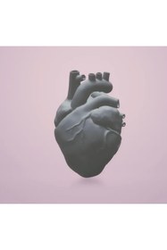 Resim shop Anatomik Kalp Modeli - 3D Baskı Eğitim ve Dekorasyon Ürünü 