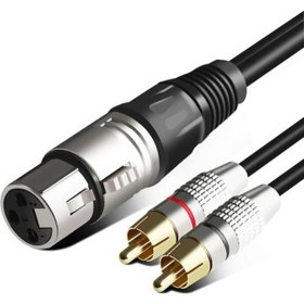 Resim Xlr Dişi 2 Rca Erkek Kablo 3 metre 