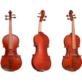 Resim Dominguez DVR44CRGM Gül Keman (4/4 Mat) | Tam Boy Mat Finish Sıcak Tonlar 