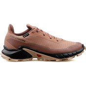 Resim Salomon Alphacross 5 Gtx W Kadın Koşu Ayakkabısı L47595100 Pembe 