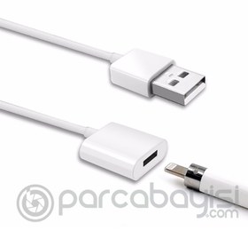 Resim Ally Apple Pencil-kalem İçin Usb Şarj Kablosu 1 metre 