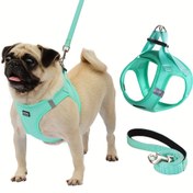 Resim Her Mevsim Turkuaz & Siyah Hava Köpek Sırt Çantası Şalvar, Güvenlik Serbest Bırakma Sistemi, İnce Adım Tasarım ve Kafes Yelek ile - Makinede yıkanabilir, Dayanıklı Evcil Hayvan Sırt Çantası, Şehirlendirmek için Uygundur: Puglar, Chihuahualar, Shih Tzu'ler, Pomerenianlar 