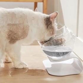Resim Yüksel Kedi Maması ve Su Kasesi Seti - Plastik, Kaymaz, Kedilerin Boynunu Koruyan Tasarım 