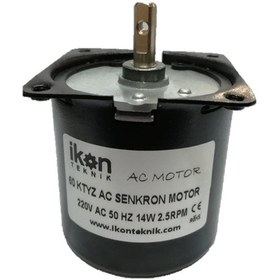 Resim 14W 2 5Rpm 60Ktyz Ac Senkron Motor 