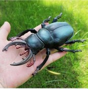 Resim Ximistore9 Çocuklar İçin Bilimsel Öğrenme Hediyesi - Gerçekçi Böcek Modeli Kuvvet Böceği 