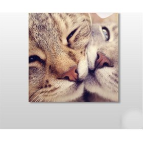 Resim Kedi Çift Kanvas Tablo 