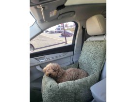 Resim Araç Içi Evcil Hayvan Kedi Köpek Seyehat Yatağı 