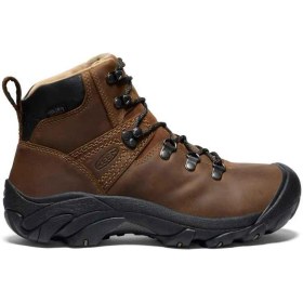 Resim Keen Pyrenees Erkek Bot 