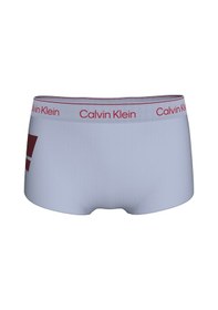 Resim Calvin Klein Kadın Külot Lv00qf8613clc Mavi 