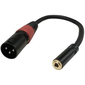 Resim 3.5 Mm Stereo Dişi - Xlr Erkek Çevirici Kablo - 20 Cm 