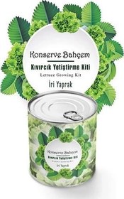 Resim Konserve Bahçem Evde Konservede İri Yapraklı Kıvırcık Yetiştirme Kiti 