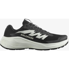 Resim Salomon Alphaglide Kadın Koşu Ayakkabısı - L47801500 