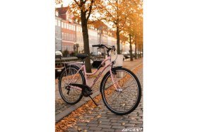 Resim Bisan Bella-24 Kadın Şehir Bisikleti 42CM V 26 Jant 3 Vites Pudra Pembe Siyah 
