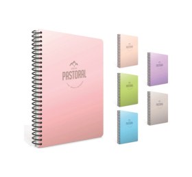 Resim Pastoral A4 96 Yaprak Çizgili Spiralli Plastik Kapak 2 Li Defter Seti - 2 Adet 