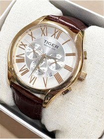 Resim Tiger TİGER ERKEK KOL SAATİ TF-296 