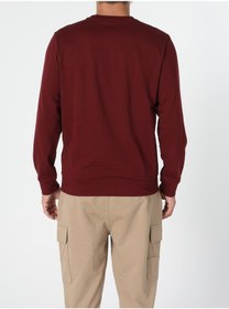 Resim Colin's Regular Fit Kabartmalı Yazı Turuncu Erkek Sweatshirt cl1055790_Q1.V2_COR Kahverengi 