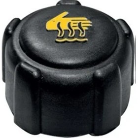 Resim Genleşme Kavanoz Kapağı Sarı Yazı Clıo 2-3 Megane 2-master 3 8200048024 21430ax300 5 Adet 