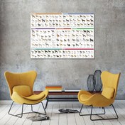 Resim Tek parça Çerçevesiz Modern Sanat Poster, Köpek Cinsleri Rehberi Tablosu, Yaratıcı Baskılar Duvar Sanatı, Tatil/Doğum Günü Hediyesi İçin Sanat Duvar Tablosu, Yatak Odası, Ofis, Oturma Odası, Yurt, Duvar Dekoru, Ev Dekorasyonu 