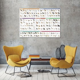 Resim Tek parça Çerçevesiz Modern Sanat Poster, Köpek Cinsleri Rehberi Tablosu, Yaratıcı Baskılar Duvar Sanatı, Tatil/Doğum Günü Hediyesi İçin Sanat Duvar Tablosu, Yatak Odası, Ofis, Oturma Odası, Yurt, Duvar Dekoru, Ev Dekorasyonu 