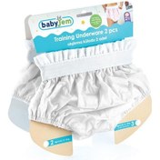 Resim Babyjem Alıştırma Külodu Kutulu 2 Li 3 Yaş Mavi Çok Renkli 