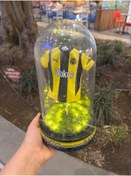 Resim faal gift shop Fenerbahçe Minik Forma koleksiyonluk sergi standı ışıklı 