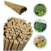 Resim 20 Adet Bambu Bitki Fidan Destek Çubuğu 190 - 200 Cm 